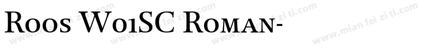 Roos W01SC Roman字体转换